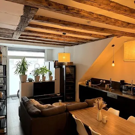 Cosy Centre * Grenoble
